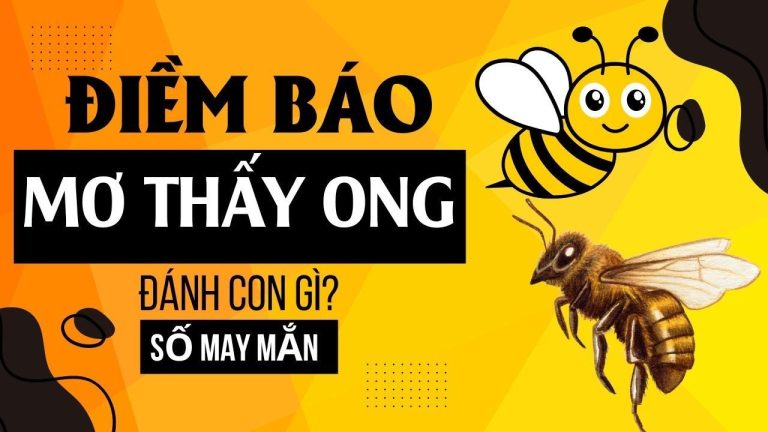 Con ong danh de so may