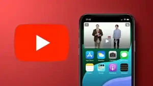 So dien thoai cua cac youtube 11zon