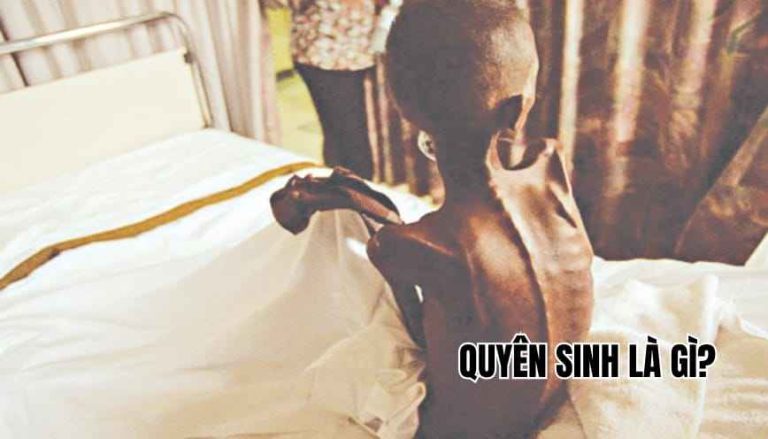 [Thuật ngữ] Quyên sinh có nghĩa là gì ⚠️