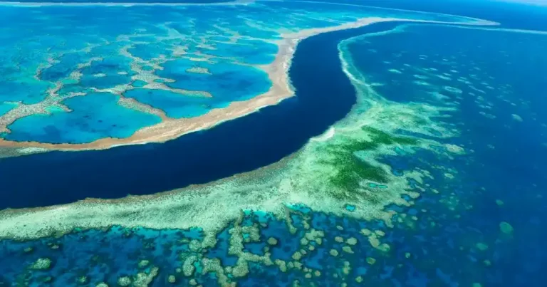 The great barrier reef la gi