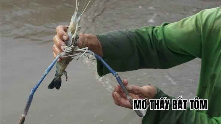 Nam mo thay minh bat tom danh con gi